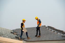 Roof Moss and Algae Removal in Brookhaven, WV